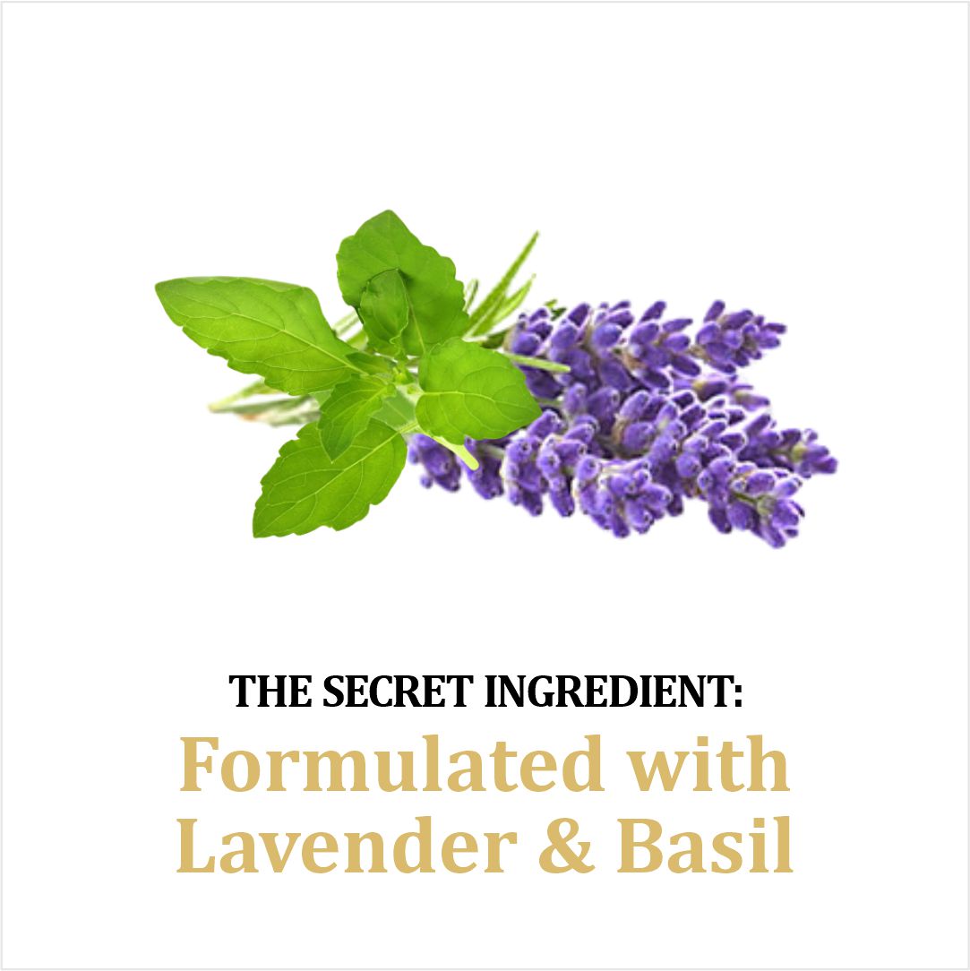 Enjoy Healthy Skin and Body Care with Khadi Veda Lavender Basil